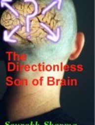 The Directionless Son of Brain- Book Review