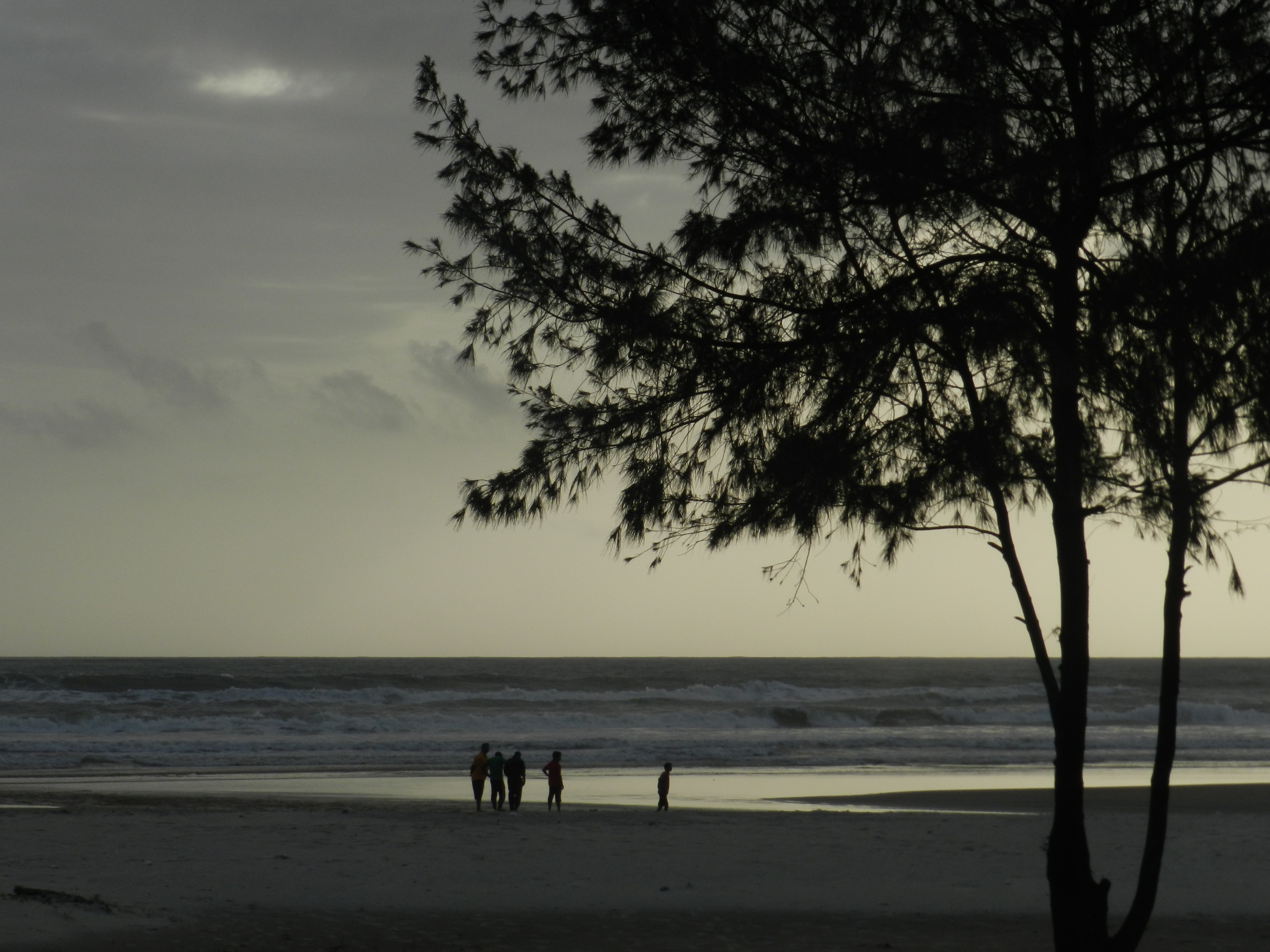 My piece of the  Zestabulous, Zexiting and Zesty experience!!!