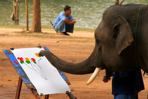 Muthoot, As they do their bit for human and nature