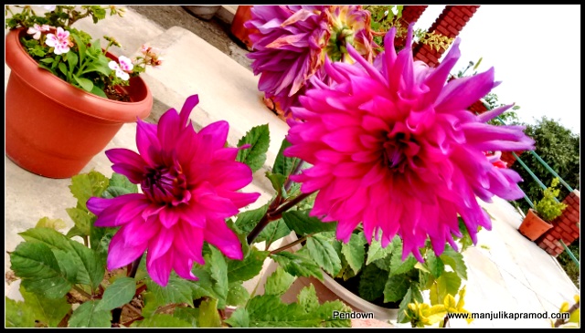 I chose a hostel life for the good!