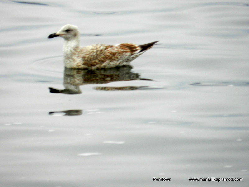 It is important to invest….Why?