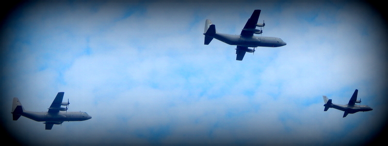 Are you a Solo or a Group traveler?