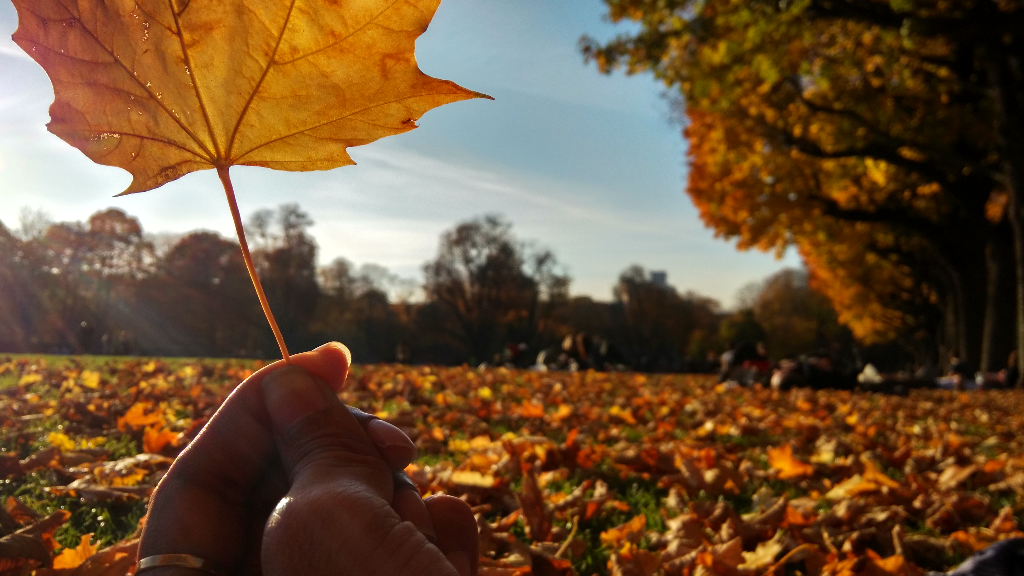 Photoblog: Autumn in Brussels is gorgeous