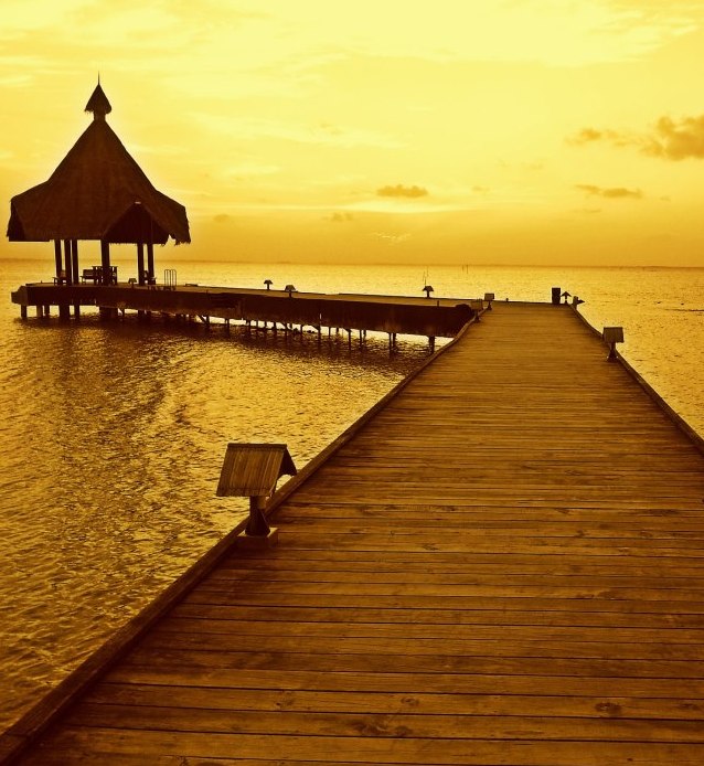 Diving In incredibly Beautiful Maldives