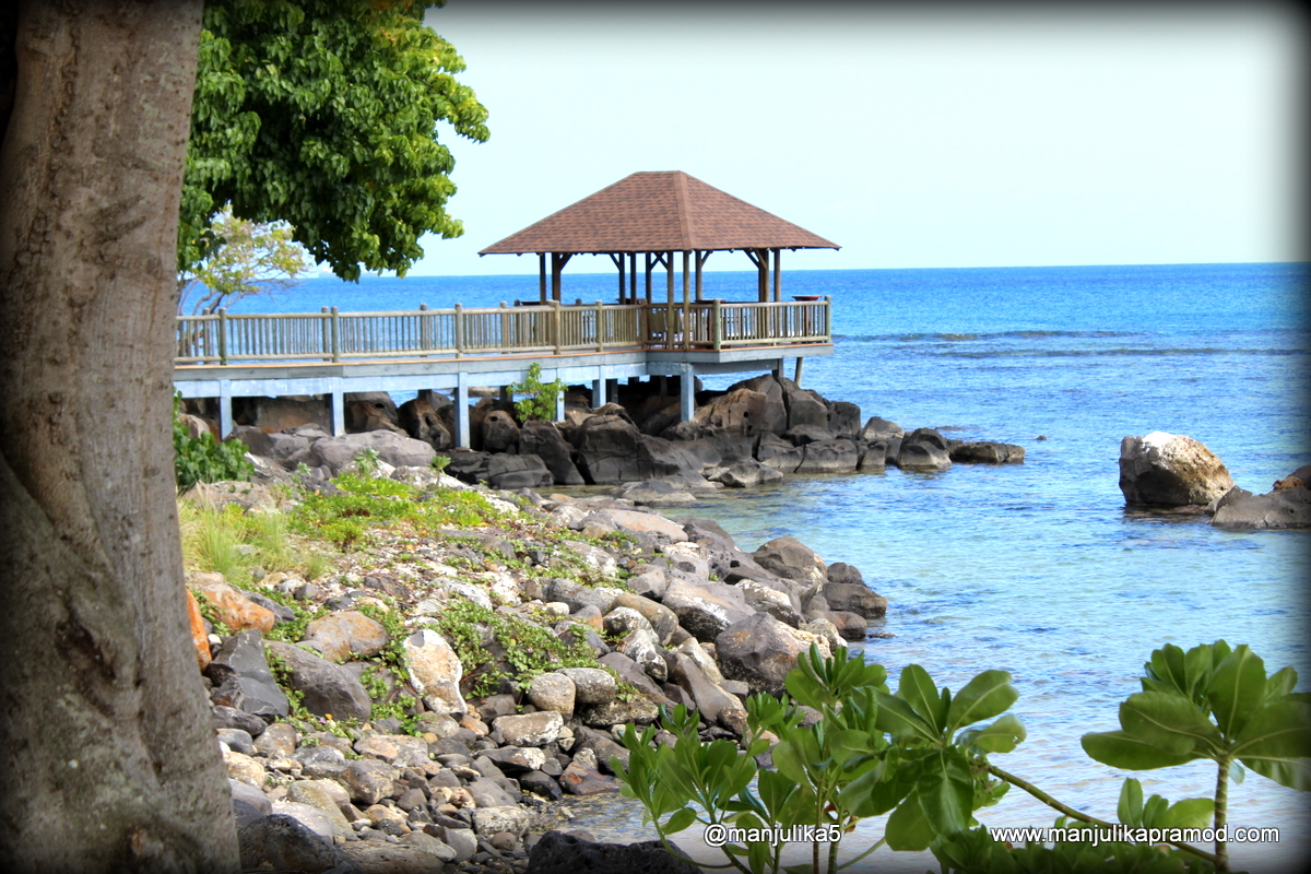 Westin Turtle Bay Resort & Spa – My Experience!