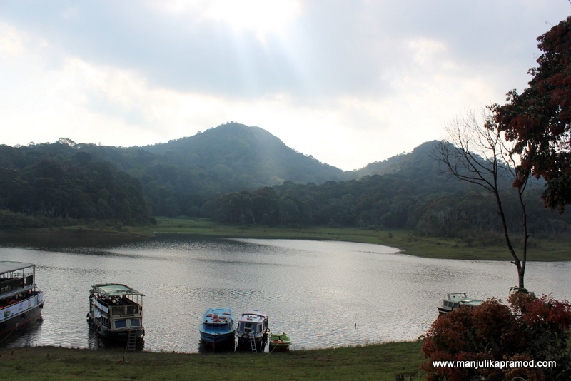 Boat Cruising and Night Walking in Periyar in Thekkady