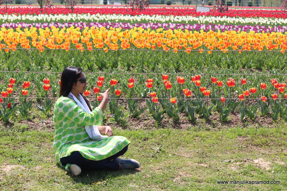 Enjoy the Magnificent Tulip Festival of Kashmir with Family