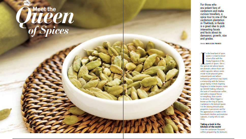 THE SPICY STORY OF CARDAMOMS