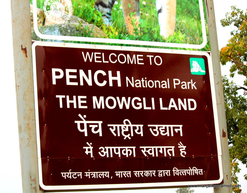 What is in store for you at PENCH NATIONAL PARK in India?