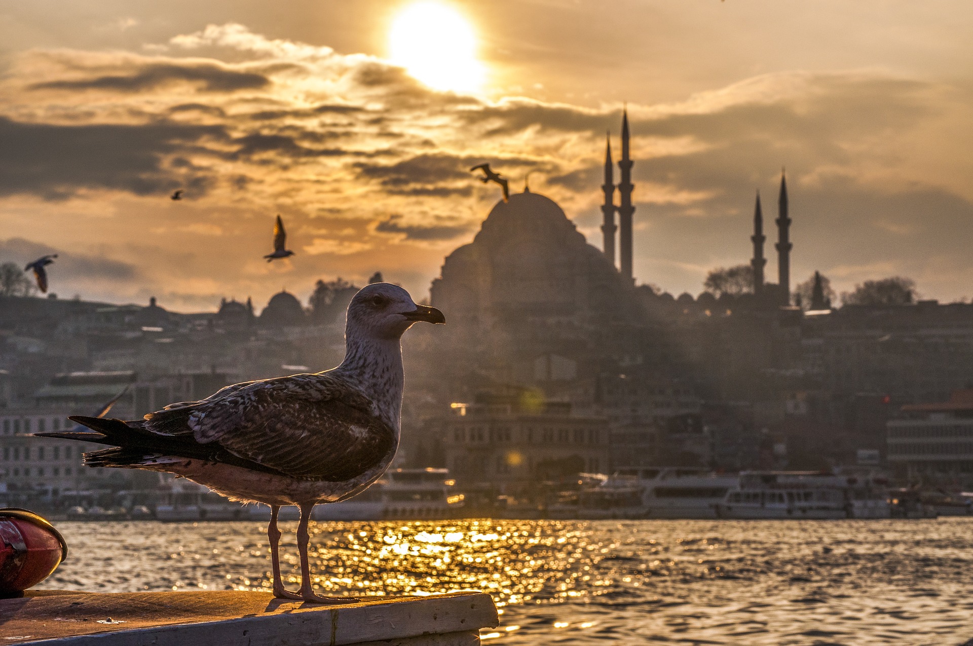 12 Treasures of Turkey