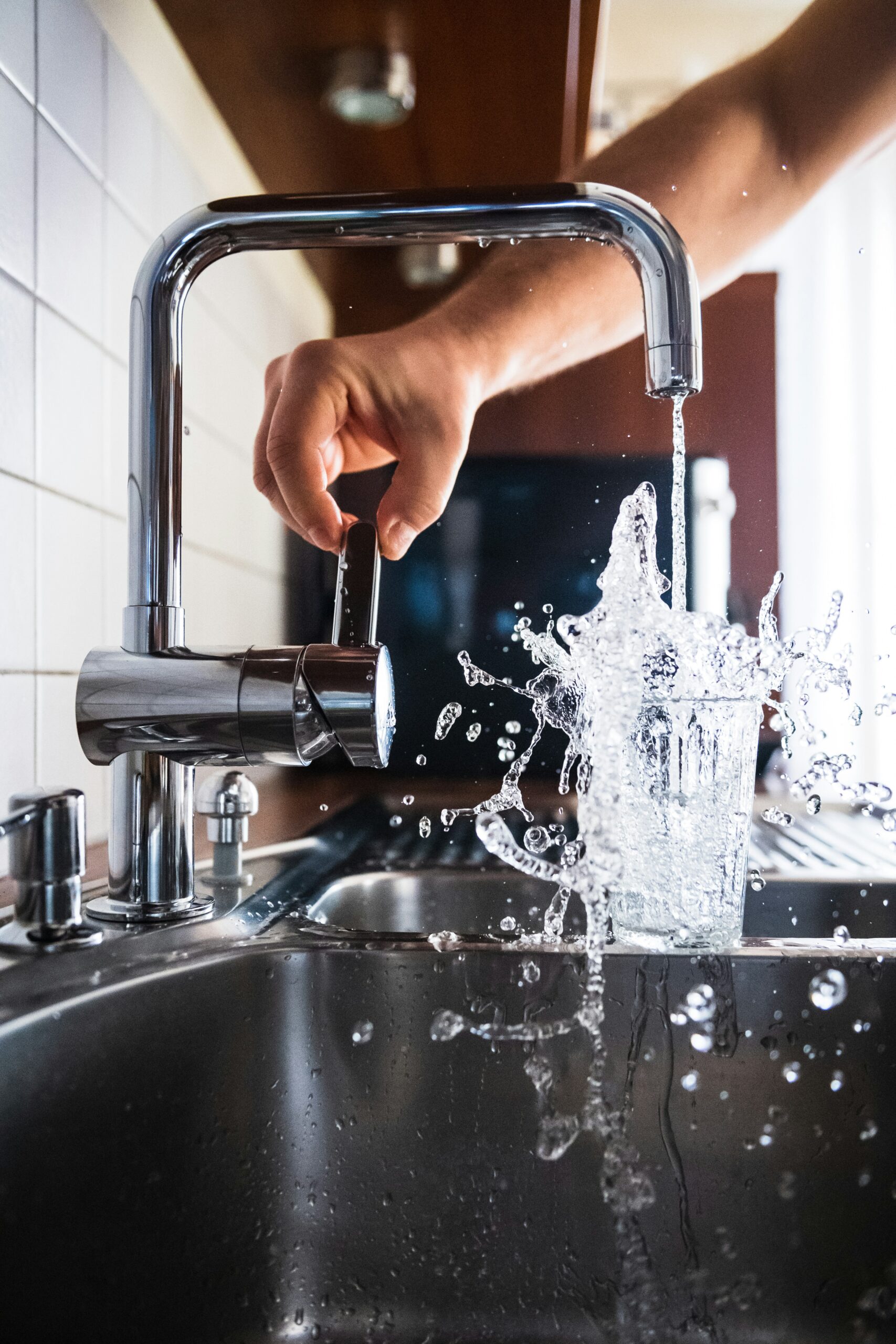DIY Plumber vs Professional Plumber: Which Option Saves More?